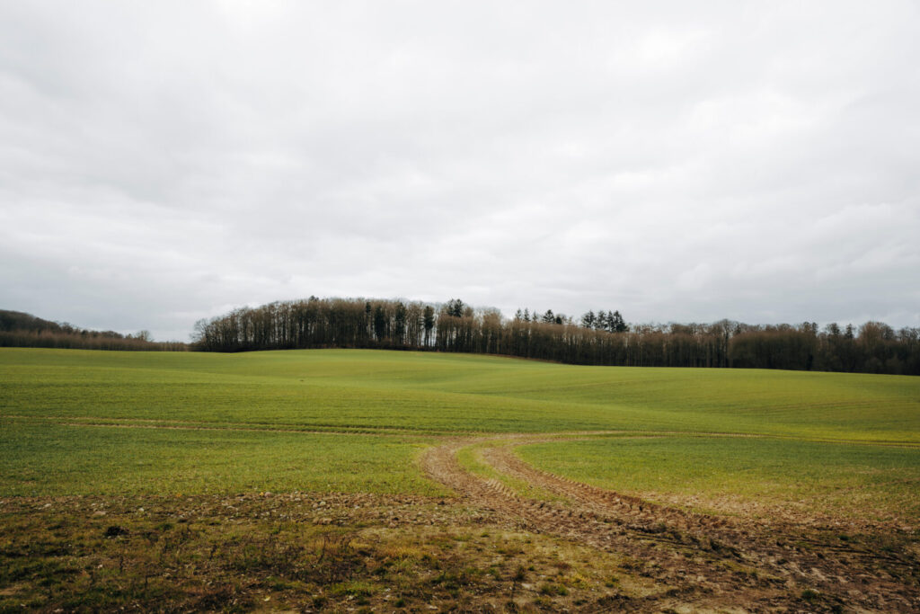 Umgebung